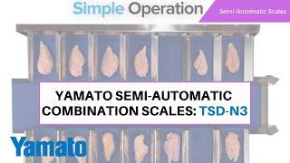 Yamato Semi-Automatic Combination Scales: TSD-N3