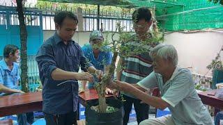 TT DẠY NGHỀ NHẬT TÂN HƯỚNG DẪN HỌC VIÊN THỰC HÀNH UỐN CÂY CẢNH   BONSAI