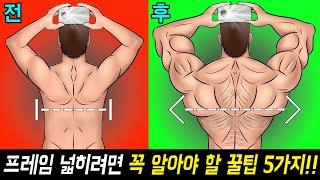 과학적으로 살펴본 당신의 상체 프레임을 가장 빠르게 넓혀 줄 가장 빠른 방법!?