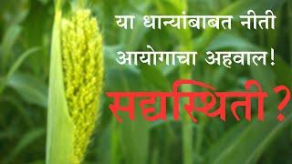 NITI Aayog  Report on Millets | The Impact Factor Marathi | India | Marathi |  #upsc | #mpsc |