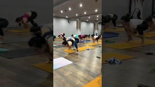 Advance yoga class #vinyasa #yogaclass #yoga #yogawithmanu #manuforyoga