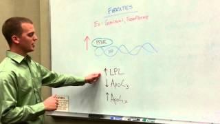 Fibrate Drugs: How to Treat Hypertriglyceridemias