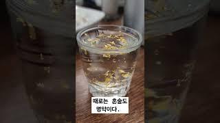 헉 비싼 금가루 술을...