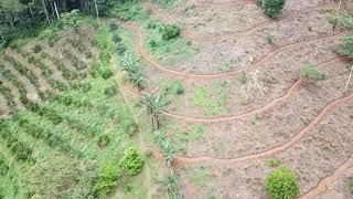 Adaptive Contour Access Path (ACAP) for Steep Hill Tropical Permaculture Farming  Yantza Farm