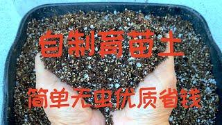 【自制育苗土】无虫省钱高质量育苗土和花盆土简单DIY ｜How To Make Your Own Seed Starting Mix