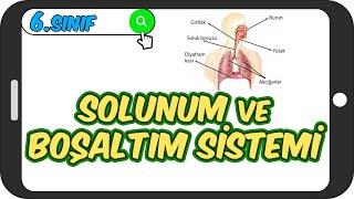 Solunum ve Boşaltım Sistemi / Taktikli Konu Anlatımı  6.Sınıf Fen #2023