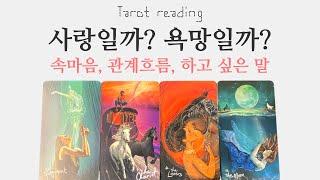 타로 - 넌 나에게 사랑일까? 욕망일까?(속마음: 연애, 이별, 재회, 썸, 커플, 짝사랑)