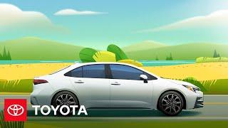 ToyotaCare Plus Service Drive | Let's Go