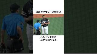 「不正投球を指摘された」ヘルナンデスについての雑学#野球#野球雑学#福岡ソフトバンクホークス