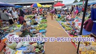 #วิถีชาวบ้าน #วิถีอีสาน ตลาดนัดวันพุธ #อำเภอตระการพืชผล #อุบลราชธานี #อีสานบ้านเฮา #อาหารพื้นบ้าน