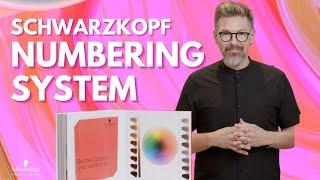 Schwarzkopf Number System Explained The Breakdown w/ Ian | Schwarzkopf Professional