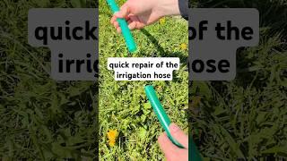 quick repair of the irrigation hose #shorts