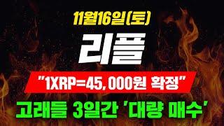 [긴급속보] 11월16일(토)리플"1XRP=45,000원 확정"고래들 3일간 '대량 매수' #리플 #리플전망 #리플코인