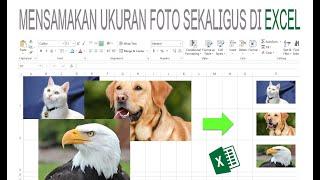 MERUBAH UKURAN BANYAK FOTO MENJADI SAMA (OTOMATIS) DI EXCEL | RESIZE MULTIPLE PHOTOS AUTOMATICALLY