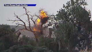 Lightning strike hits bald eagle nest in Boulder County