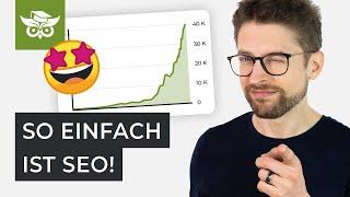 Shop SEO Case Study x2 (mit Agentur) inkl. Erkenntnisse