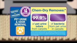 Spring Hill Chem-Dry Pet Odor Removal Service