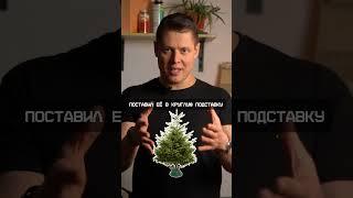 Куда деть остатки монтажной пены?#ремонт #стройматериалы #монтажнаяпена