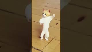 cute billi dancing bhojpuri song #virals #billi #cat #animals #shortsvideo