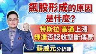 蘇威元分析師【飆股形成的原因是什麼？特斯拉 高通上漲 輝達否認收壟斷傳票】 2024.09.05 #蘇威元 #飆股元動力