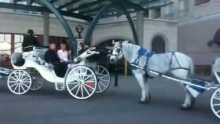 Hotel Grand Pacific horsedrawn carriages 2