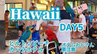 【ハワイ⑥】DAY5  ヒルトンのビーチでのんびりしたりカハラホテルに遊びに行ったり！そしてオウムおじさんに遭遇！