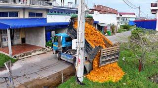 New Project Nice Incredible landfill flooded soil ! Bulldozer D20p Push Stone , truck 5Ton Cooperate