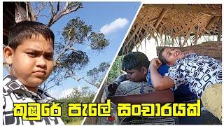 chali and munubura කුඹුරෙ පැලේ සංචාරයක්  