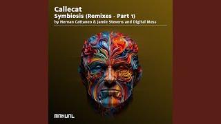 Beyond Perceptions (Hernan Cattaneo & Jamie Stevens Remix)