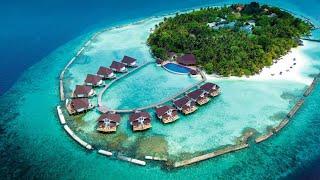 Beach Bungalow - Ellaidhoo Maldives by Cinnamon