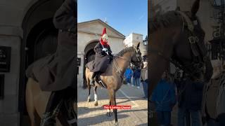 Poor King’s Horse feeling discomfort, move back guys #tourist #shorts #history #horse #royalguards #