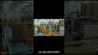 Fully automatic paper cup packing machine and case machine