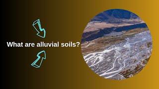 What are alluvial soils?