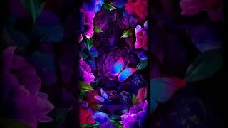 [Samsung Theme-Live Wallpaper] Fascinating flower