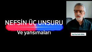 NEFSİN ÜÇ UNSURU VE YANSIMALARI SEYİT NURFETHİ ERKAL