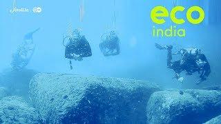 Eco India: How a group of divers in Puducherry are trained to rid sea beds of stray fishing nets