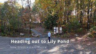 Walk to Lily Pond and Beyond! 4K Aerial footage of a Beautiful spot in New Gloucester, Maine