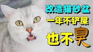 不铲屎也不臭的猫砂盆怎么做到的？全是科技与狠活！