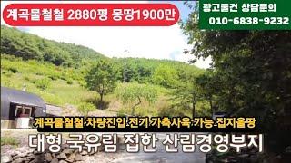 경매직전 2880평 집짓고 농장할땅        몽땅1900만 반값급매 가격절충 가능