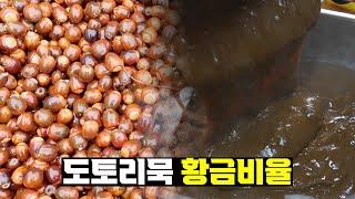 홍천 도토리 주워서 초간단 도토리묵 만들기