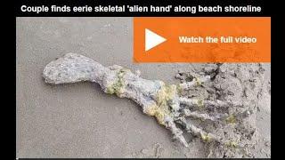 Brazilin Couple finds eerir skeletal alien hand along beach shoreline | lolo news daily