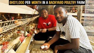 How He Makes GHS11,000($773) monthly from his 350 Capacity Backyard Poultry Farm in Ghana #poultry