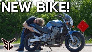 This Might Be THE BEST Honda Ever Made! HONDA HORNET RETURNS!