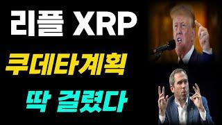 리플 XRP 비트코인을 배반하다? 트럼프와의 대화 내용 대 공개  #리플 #XRP