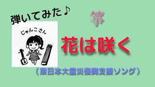 琴ソロ -  花は咲く　（東日本大震災復興応援ソング） - 箏　KOTO J-POP "Hana wa Saku"