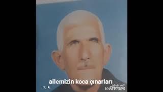 koca çınarlar