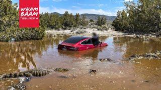 FULL SELF DRIVING TESLA CRASH INTO A POND