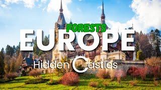 Europe's Forests: Discovering the Castles Hidden Within