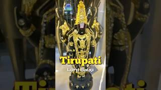 Tirupati Lord Balaji | Home Decor Products now Available at Mudras Outlet Velachery