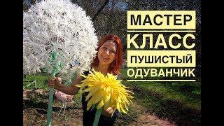 Мастер-класс ростовой пушистый одуванчик /DIY giant fluffy dandelion / Dente-de-leão macio gigante